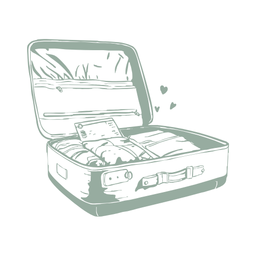Valise